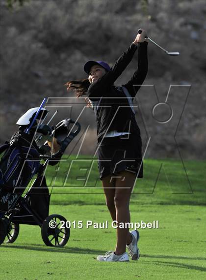 Thumbnail 2 in Horizon @ Desert Mountain photogallery.