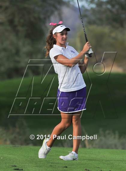 Thumbnail 3 in Horizon @ Desert Mountain photogallery.