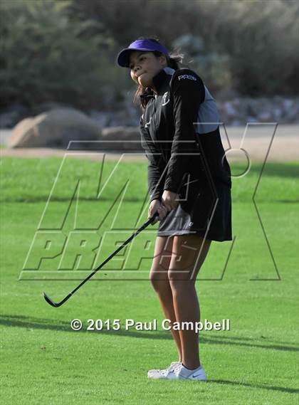 Thumbnail 3 in Horizon @ Desert Mountain photogallery.