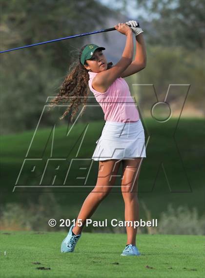 Thumbnail 3 in Horizon @ Desert Mountain photogallery.