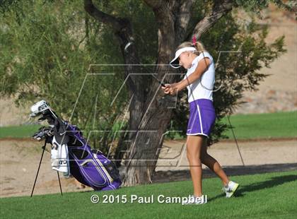 Thumbnail 2 in Horizon @ Desert Mountain photogallery.