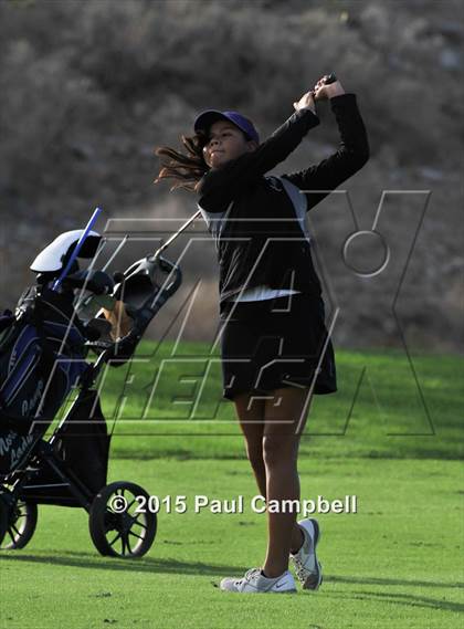 Thumbnail 3 in Horizon @ Desert Mountain photogallery.