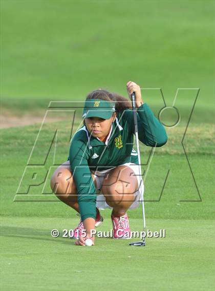 Thumbnail 3 in Horizon @ Desert Mountain photogallery.