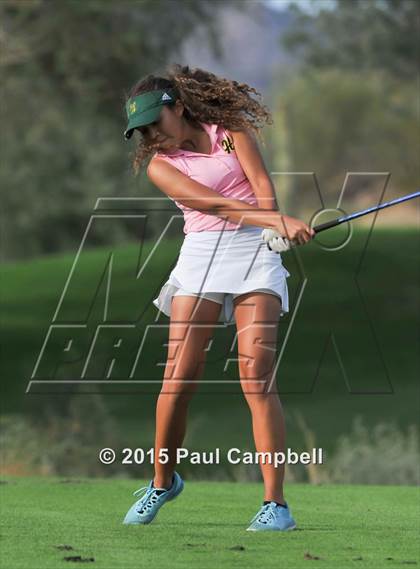 Thumbnail 3 in Horizon @ Desert Mountain photogallery.