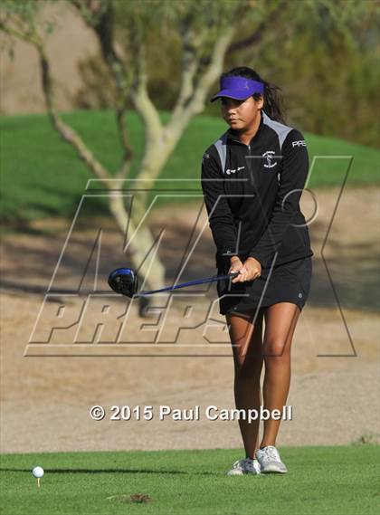 Thumbnail 3 in Horizon @ Desert Mountain photogallery.