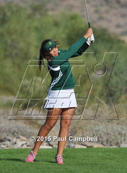 Thumbnail 3 in Horizon @ Desert Mountain photogallery.