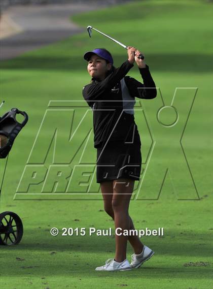 Thumbnail 2 in Horizon @ Desert Mountain photogallery.