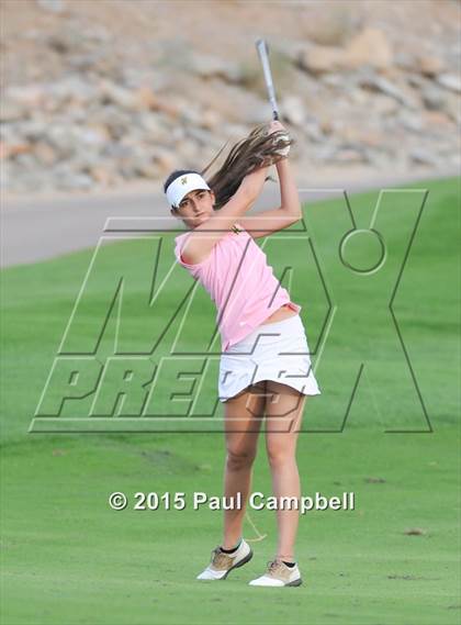 Thumbnail 3 in Horizon @ Desert Mountain photogallery.