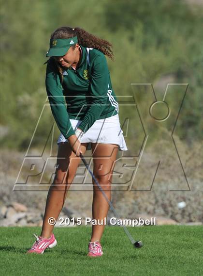 Thumbnail 1 in Horizon @ Desert Mountain photogallery.