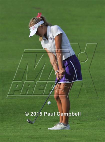 Thumbnail 3 in Horizon @ Desert Mountain photogallery.