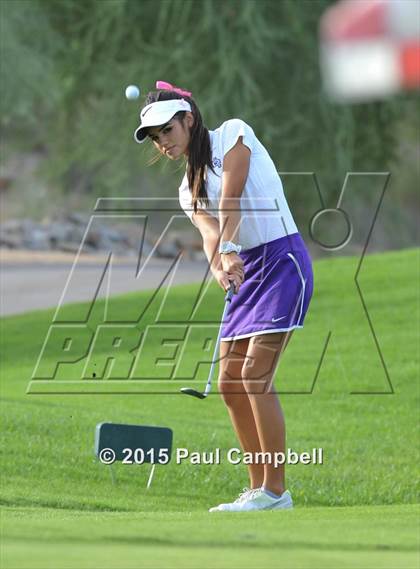 Thumbnail 1 in Horizon @ Desert Mountain photogallery.