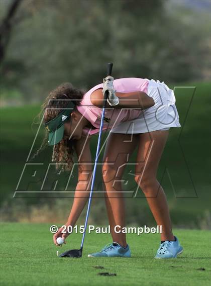 Thumbnail 1 in Horizon @ Desert Mountain photogallery.