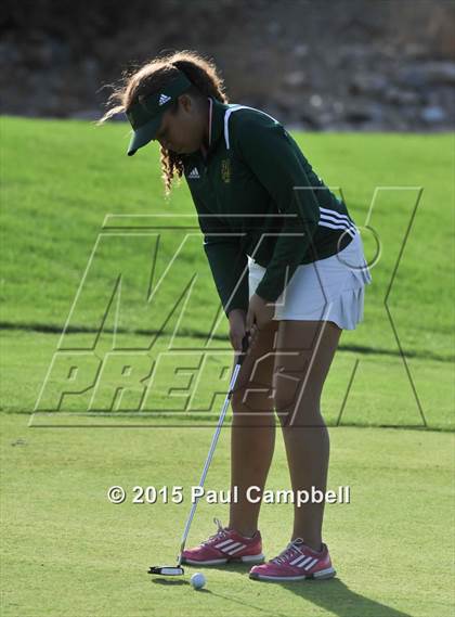 Thumbnail 3 in Horizon @ Desert Mountain photogallery.