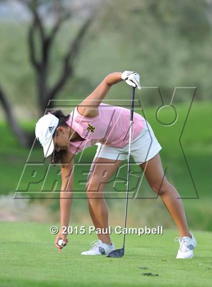 Thumbnail 1 in Horizon @ Desert Mountain photogallery.