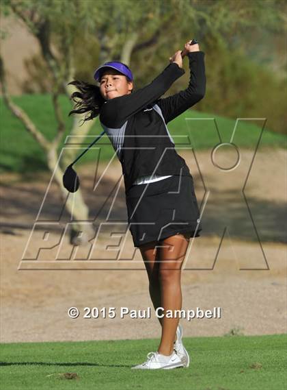 Thumbnail 1 in Horizon @ Desert Mountain photogallery.