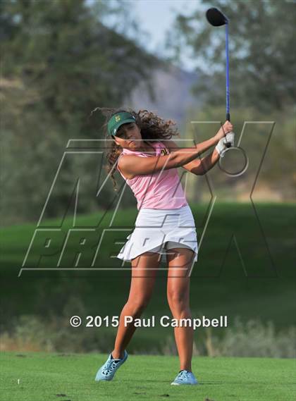 Thumbnail 1 in Horizon @ Desert Mountain photogallery.