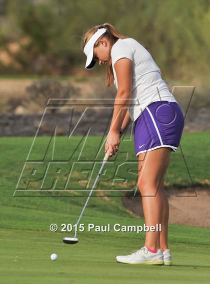 Thumbnail 3 in Horizon @ Desert Mountain photogallery.