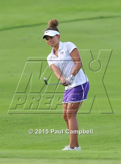 Thumbnail 3 in Horizon @ Desert Mountain photogallery.