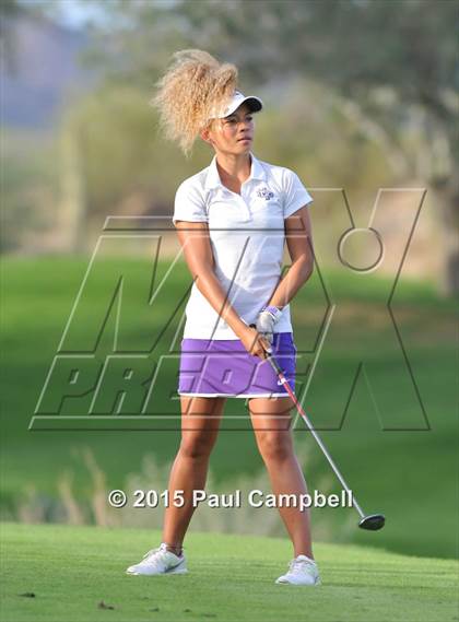 Thumbnail 3 in Horizon @ Desert Mountain photogallery.