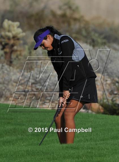 Thumbnail 3 in Horizon @ Desert Mountain photogallery.