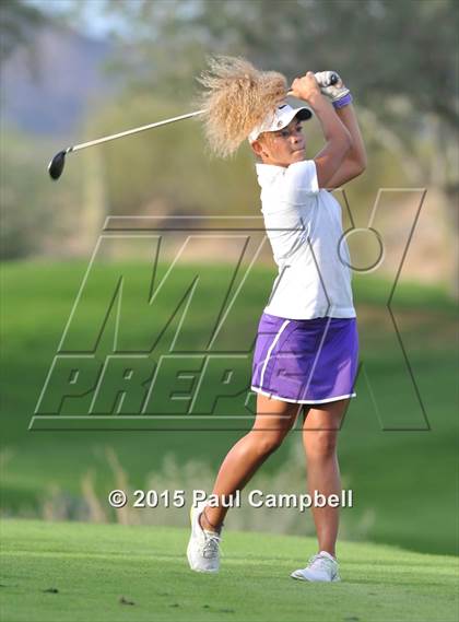 Thumbnail 1 in Horizon @ Desert Mountain photogallery.