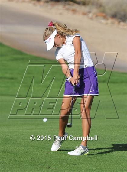 Thumbnail 3 in Horizon @ Desert Mountain photogallery.