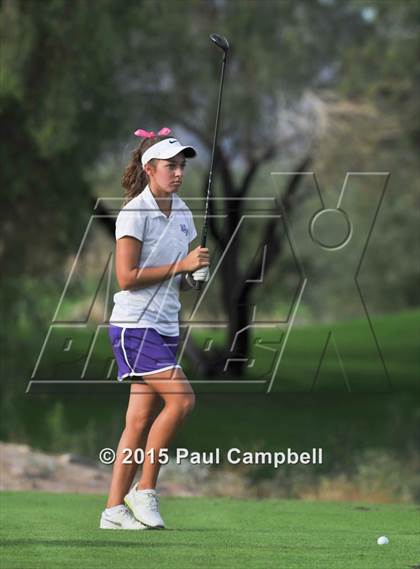Thumbnail 1 in Horizon @ Desert Mountain photogallery.