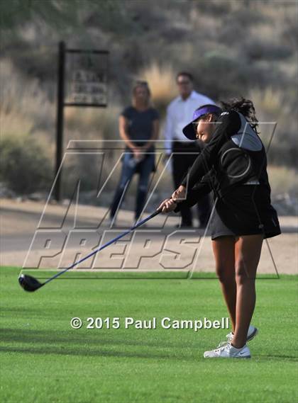 Thumbnail 3 in Horizon @ Desert Mountain photogallery.