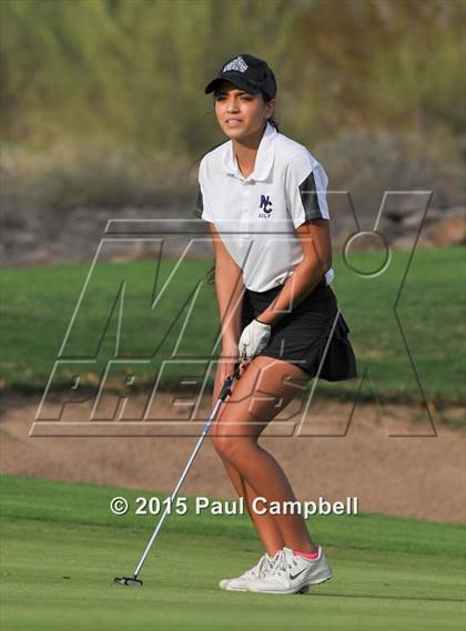 Thumbnail 2 in Horizon @ Desert Mountain photogallery.