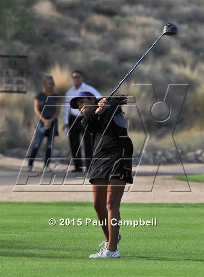 Thumbnail 1 in Horizon @ Desert Mountain photogallery.
