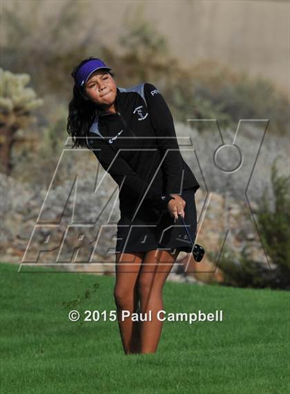 Thumbnail 3 in Horizon @ Desert Mountain photogallery.