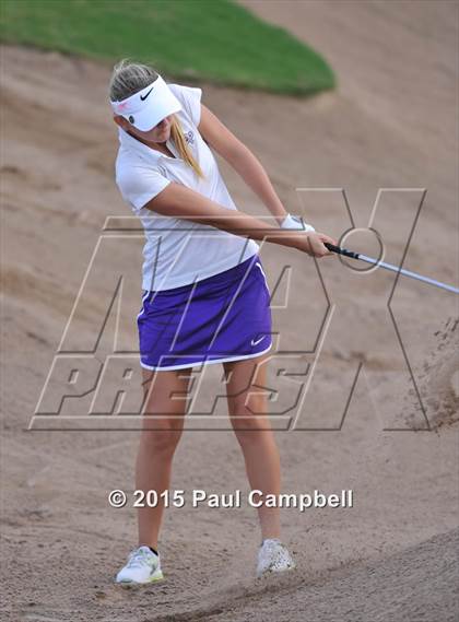 Thumbnail 3 in Horizon @ Desert Mountain photogallery.