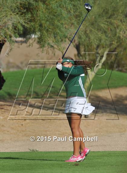 Thumbnail 3 in Horizon @ Desert Mountain photogallery.