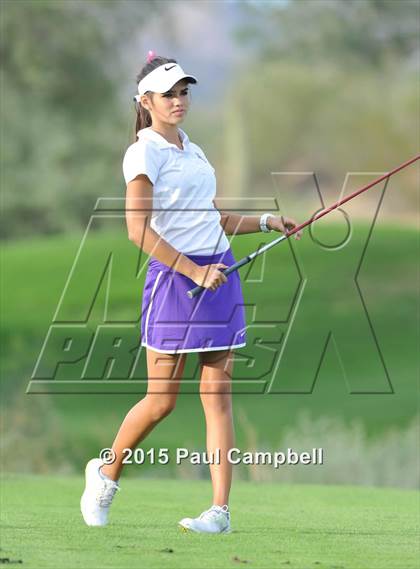 Thumbnail 3 in Horizon @ Desert Mountain photogallery.