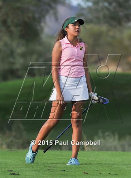 Thumbnail 3 in Horizon @ Desert Mountain photogallery.