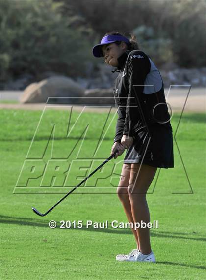 Thumbnail 2 in Horizon @ Desert Mountain photogallery.