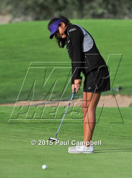 Thumbnail 3 in Horizon @ Desert Mountain photogallery.