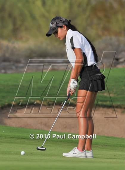 Thumbnail 2 in Horizon @ Desert Mountain photogallery.