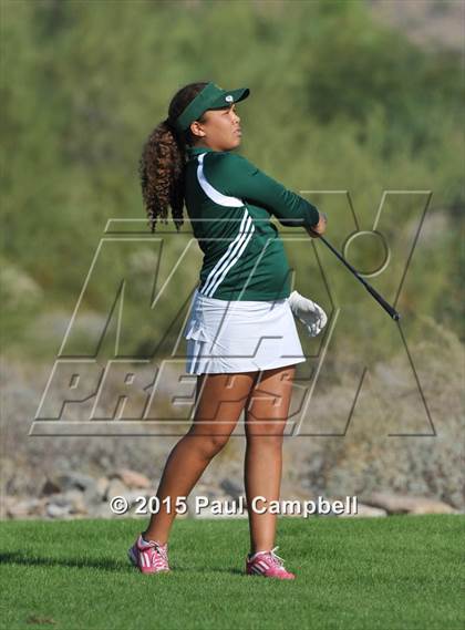 Thumbnail 2 in Horizon @ Desert Mountain photogallery.