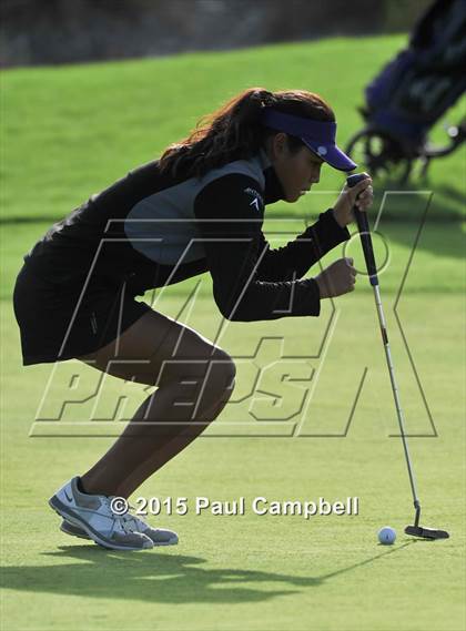 Thumbnail 2 in Horizon @ Desert Mountain photogallery.