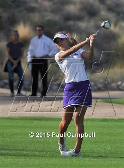 Thumbnail 3 in Horizon @ Desert Mountain photogallery.