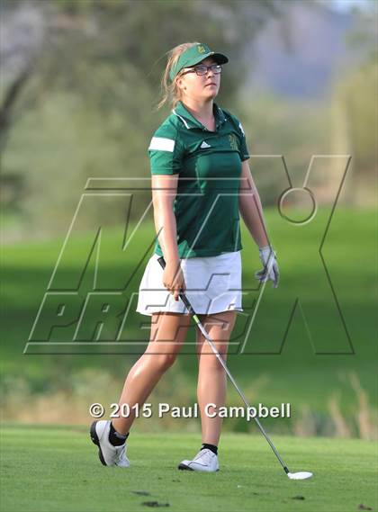 Thumbnail 1 in Horizon @ Desert Mountain photogallery.