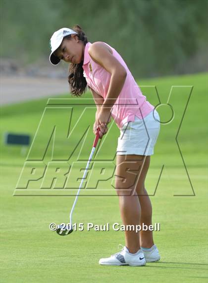 Thumbnail 1 in Horizon @ Desert Mountain photogallery.