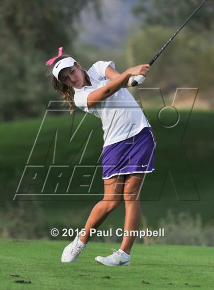 Thumbnail 3 in Horizon @ Desert Mountain photogallery.