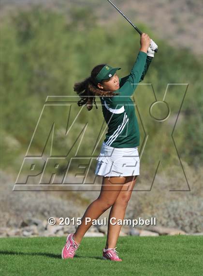 Thumbnail 1 in Horizon @ Desert Mountain photogallery.