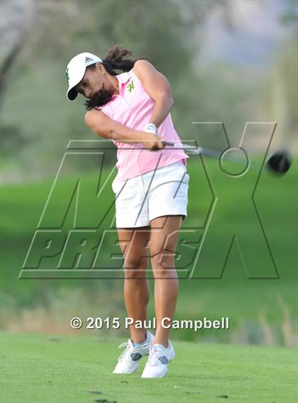 Thumbnail 3 in Horizon @ Desert Mountain photogallery.