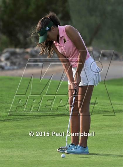 Thumbnail 2 in Horizon @ Desert Mountain photogallery.