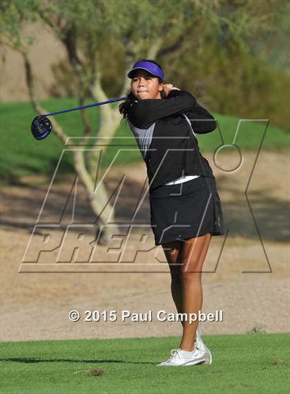 Thumbnail 3 in Horizon @ Desert Mountain photogallery.