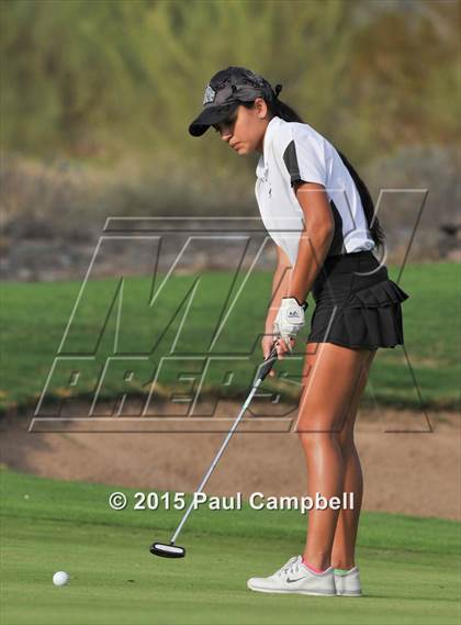 Thumbnail 3 in Horizon @ Desert Mountain photogallery.
