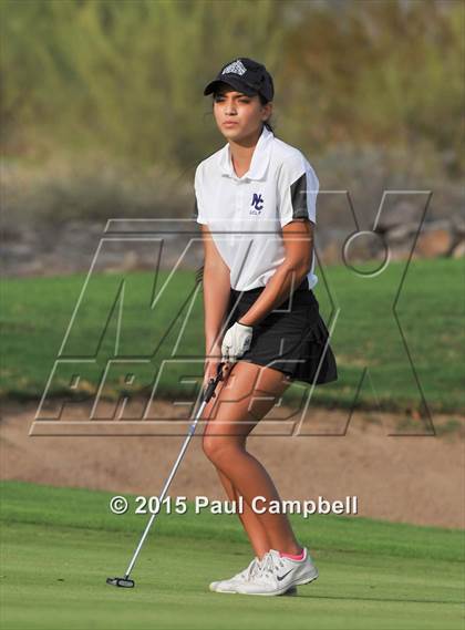 Thumbnail 1 in Horizon @ Desert Mountain photogallery.